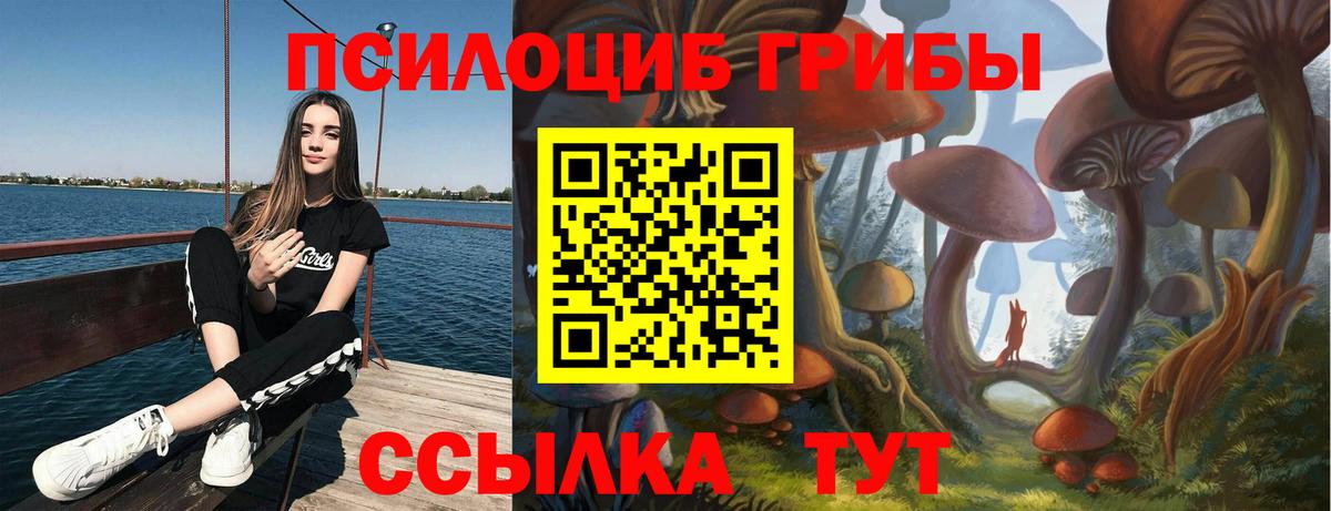 Магнитогорск  Галлюциногенные грибы мицелий  Вход с VPN  где купить наркотик  Псилоцибиновые грибы MAGIC MUSHROOMS 